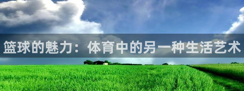 汇赢国际链：篮球的魅力：体育中的另一种生活艺术