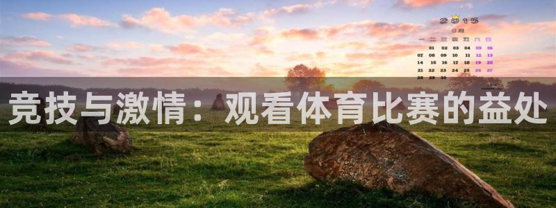 汇赢国际pg电子官网入口：竞技与激情：观看体育比赛的益处